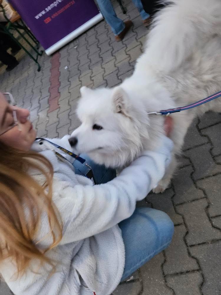 Kasia Pijarowska tweet media