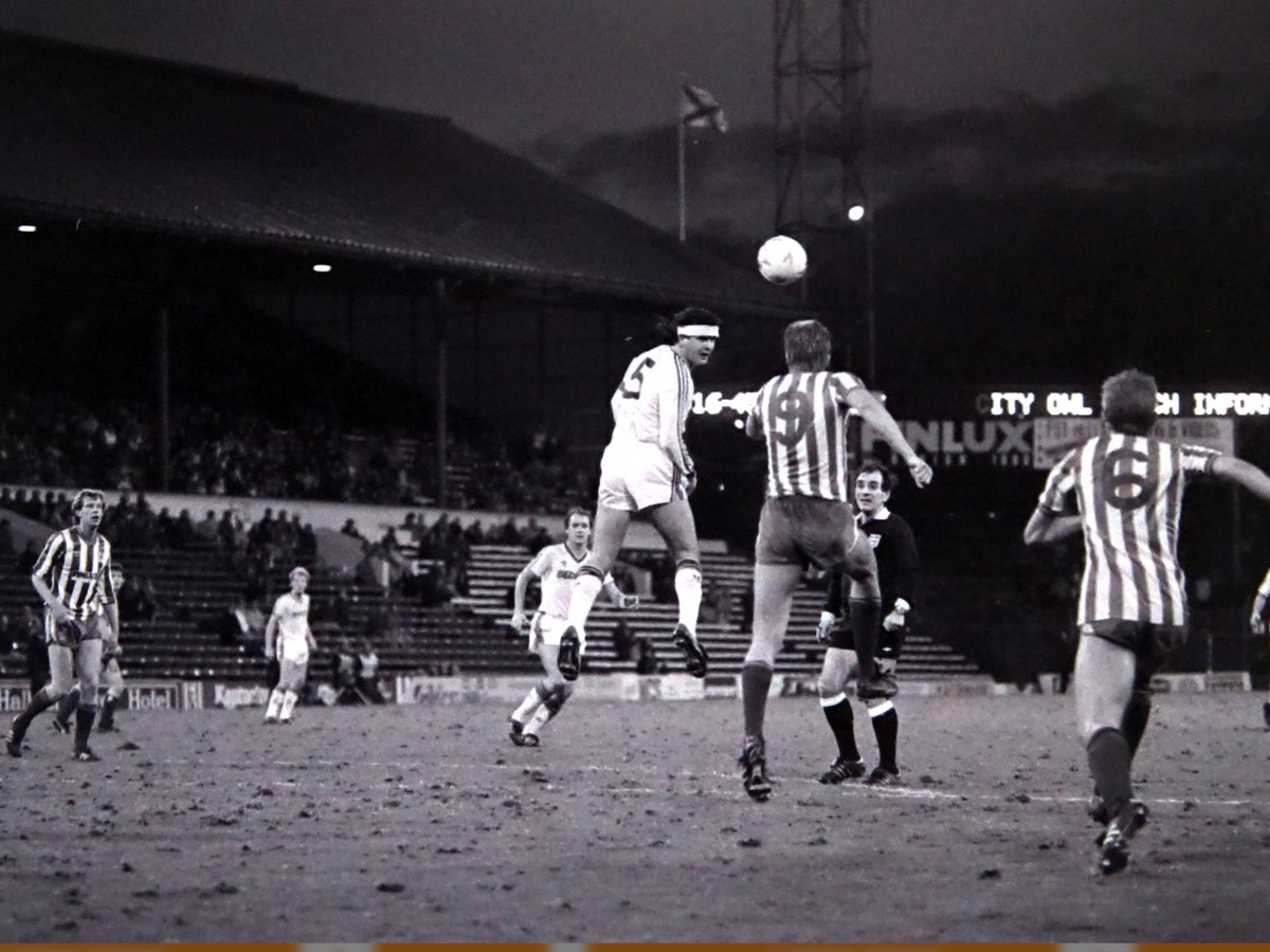 SkylineOwl🦉 tweet media