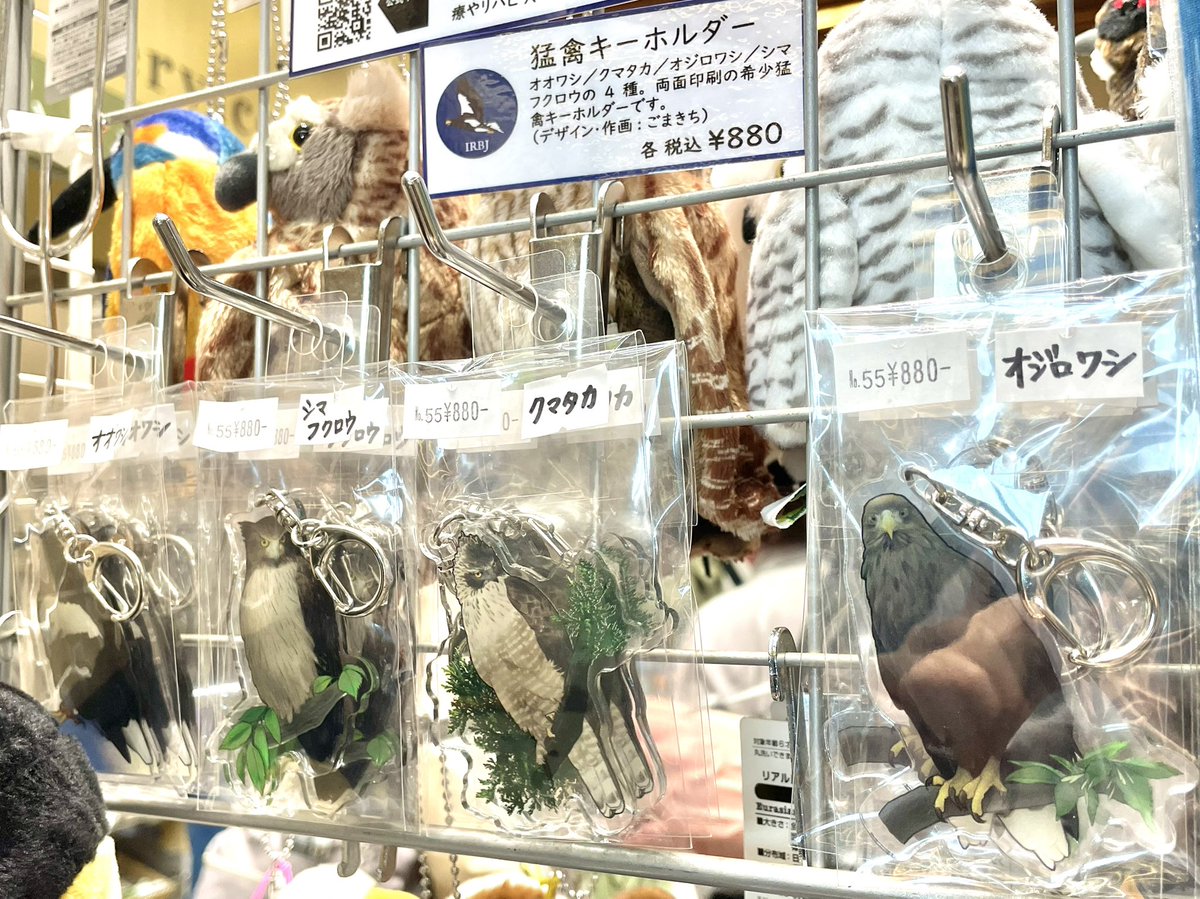 大阪自然史博物館ミュージアムショップ tweet media