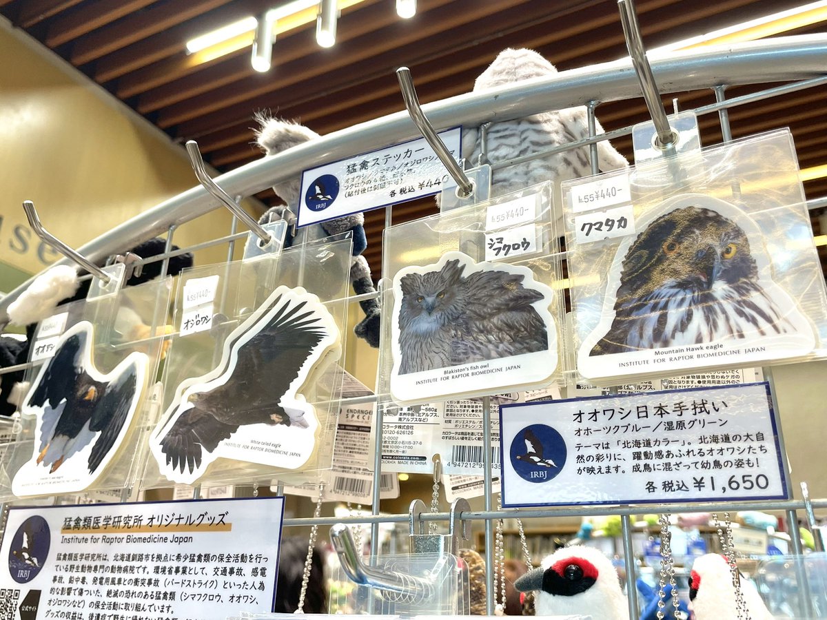 大阪自然史博物館ミュージアムショップ tweet media