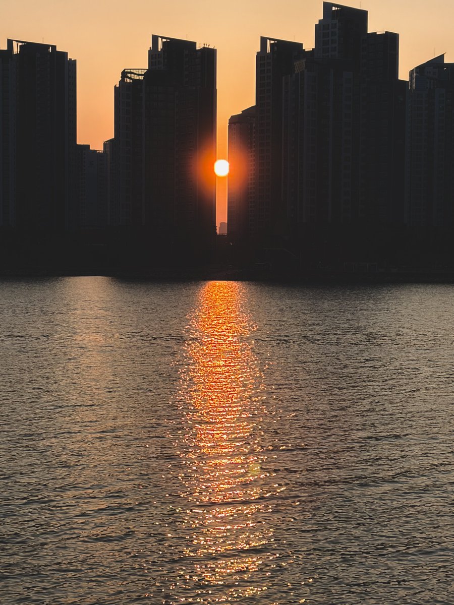 Tcho / 티코🐲 Commission Open tweet media