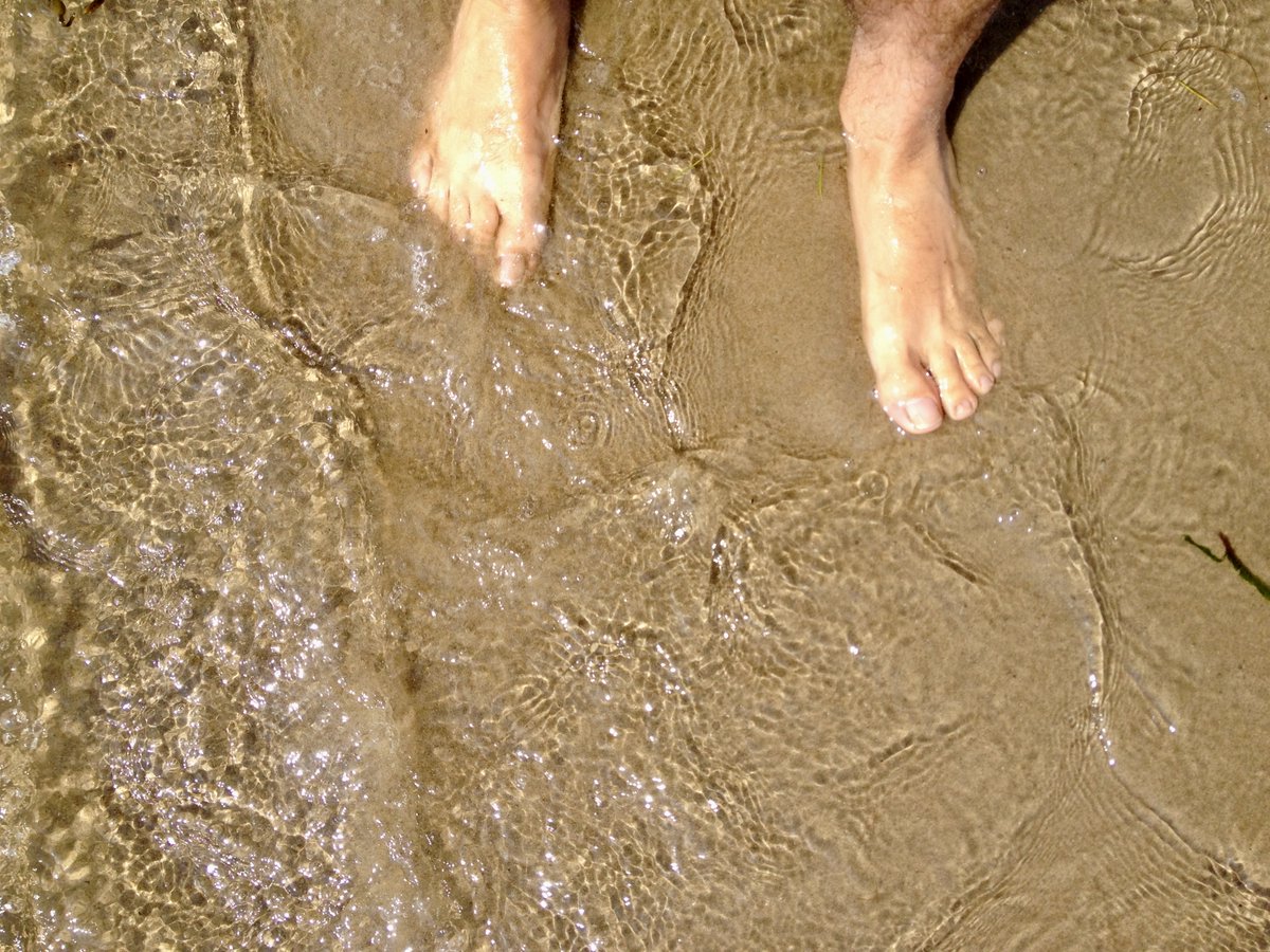 MarshallNotFunny tweet media