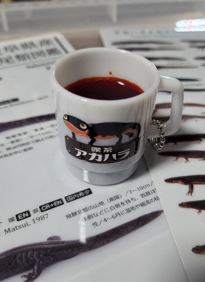 サラマンニュート tweet media