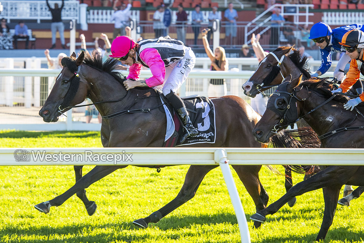 Western Racepix tweet media