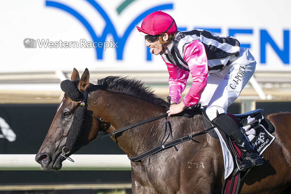 Western Racepix tweet media
