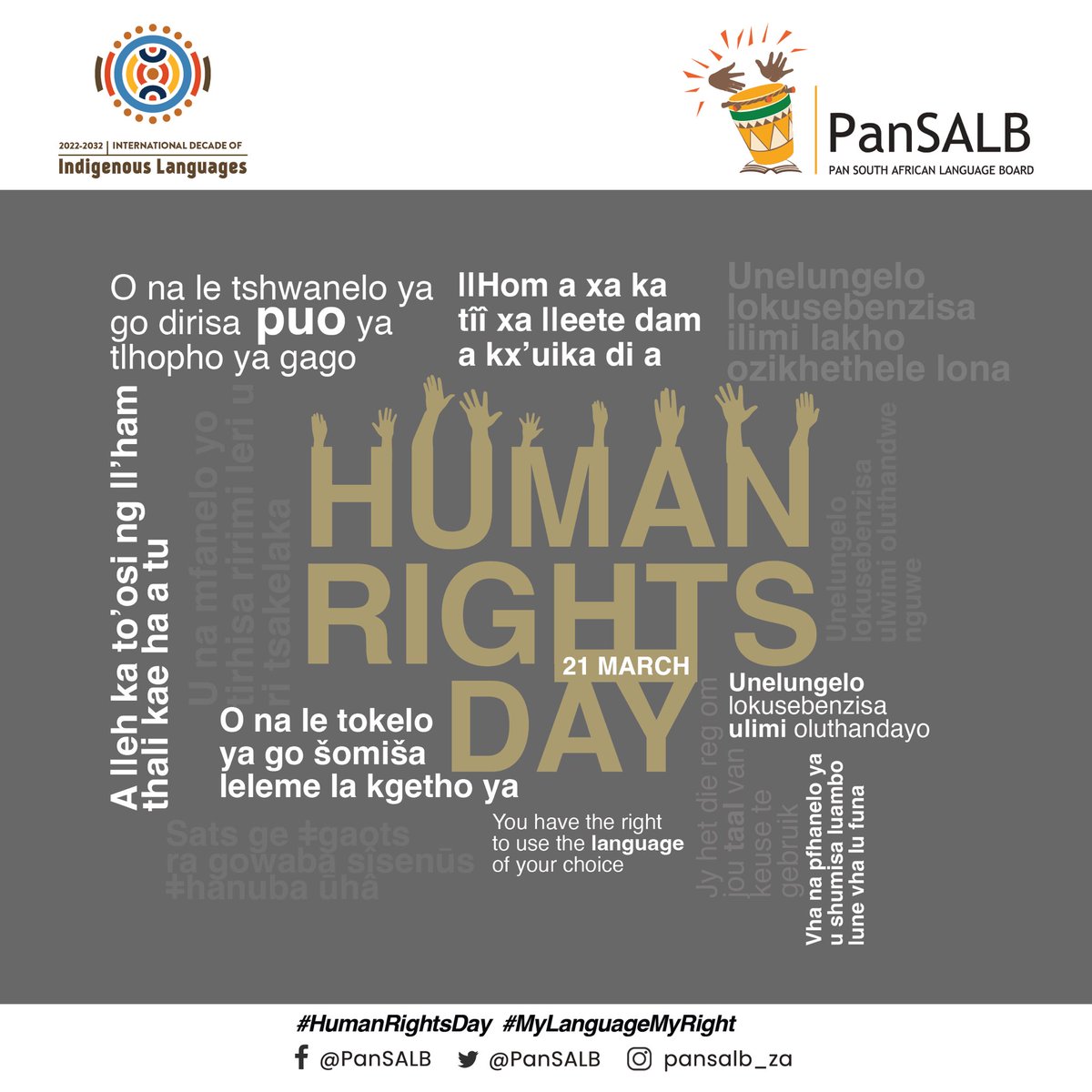 Pan South African Language Board tweet media