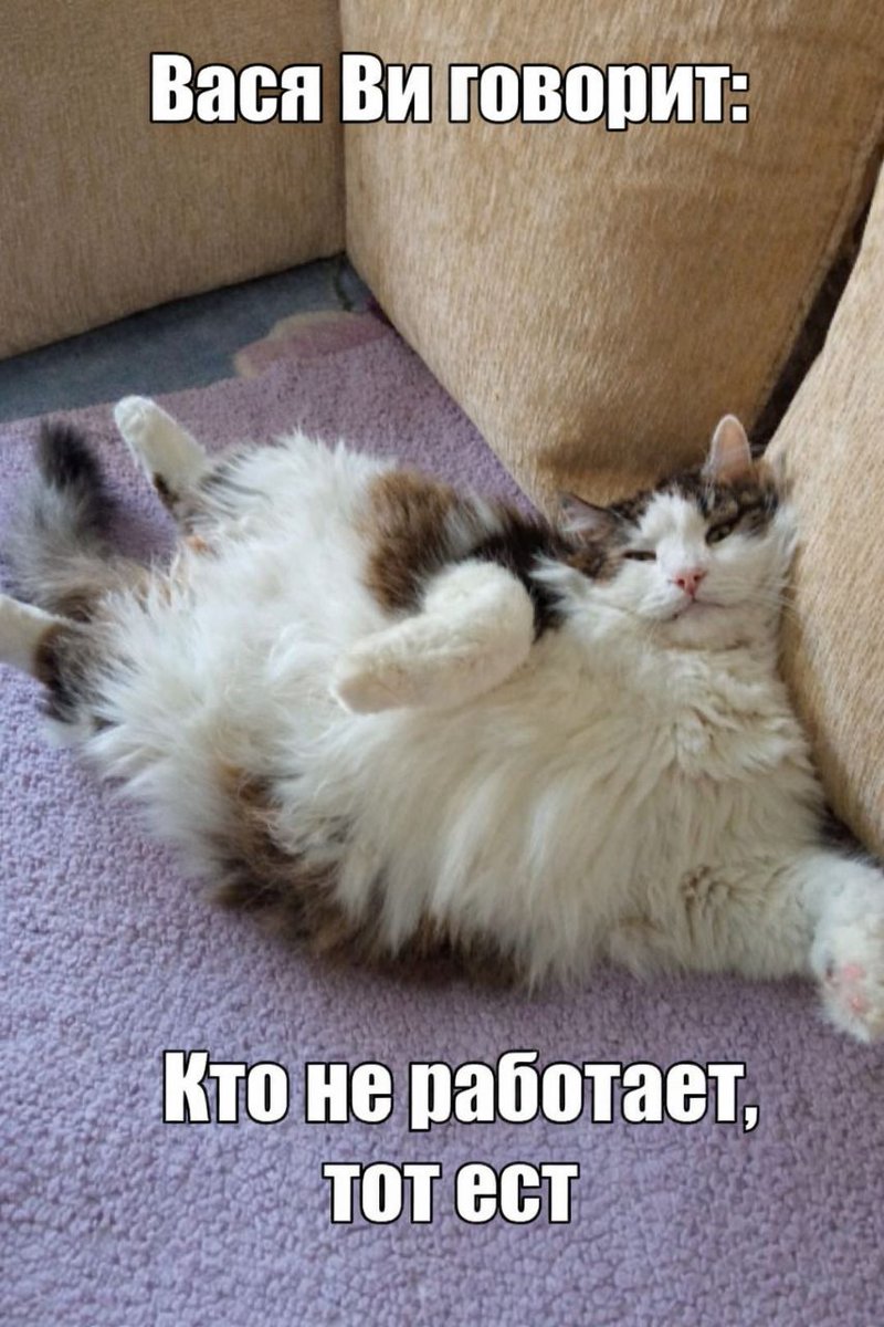 Chucky Ви tweet media