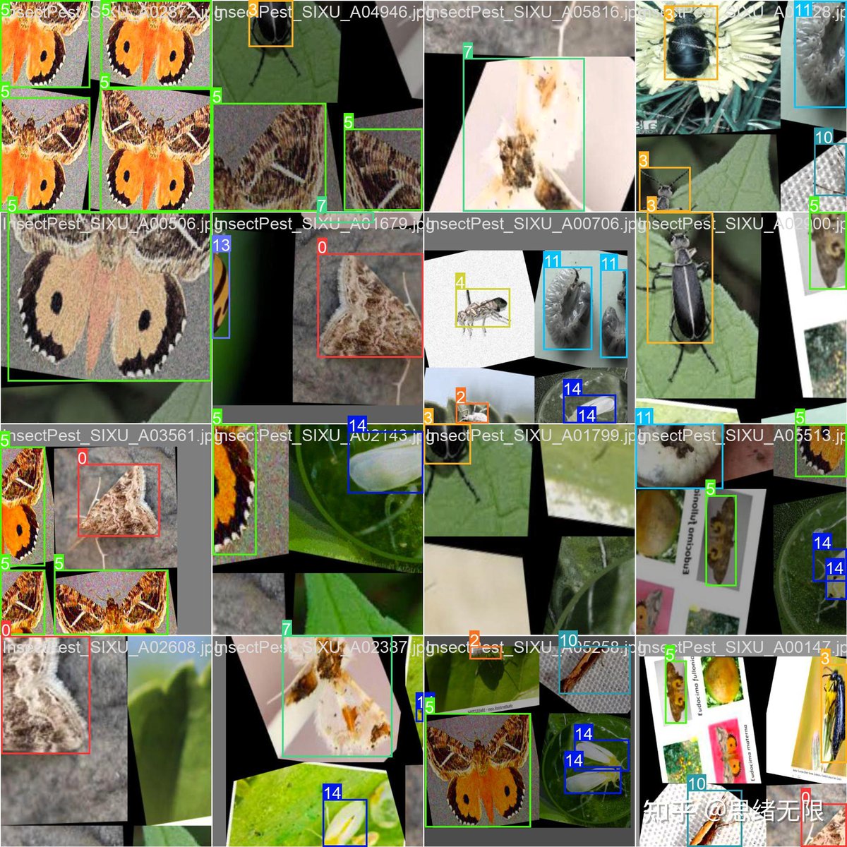 Jackie Kear tweet media