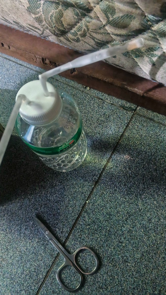 ❄️❄️PasswifemeySTP tweet media