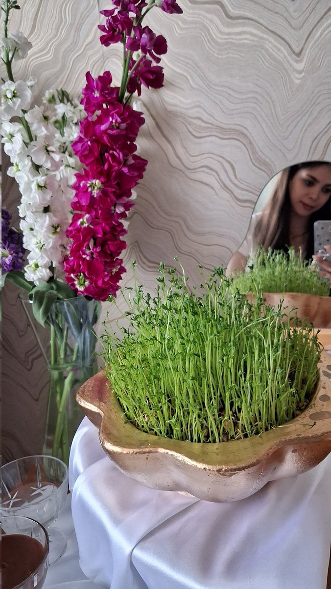 파르나즈 tweet media