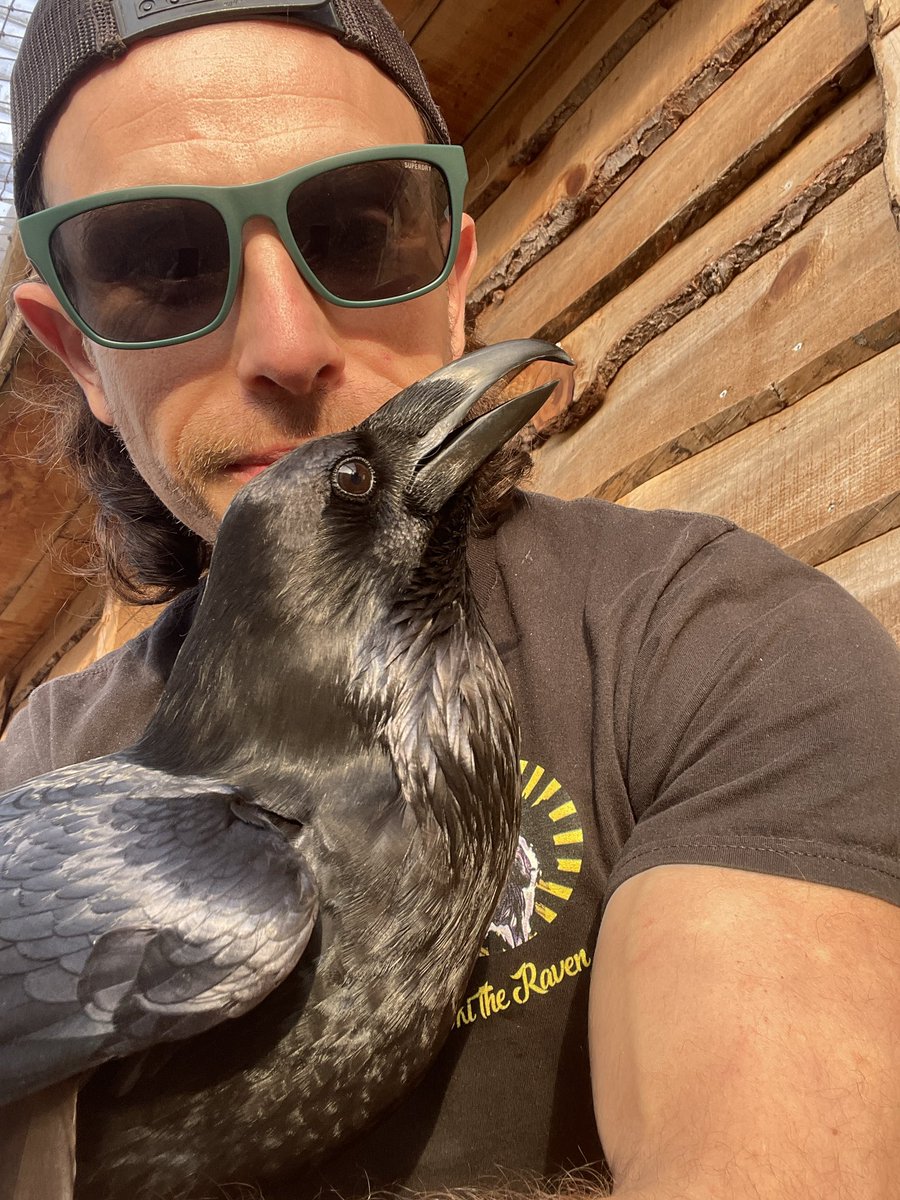 Elliot Manarin tweet media