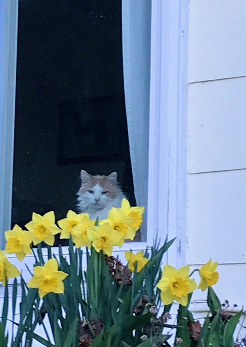 mystic poetry tweet media