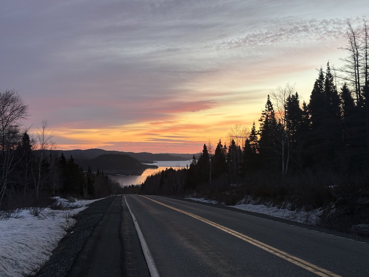 Boyd Stuckless tweet media