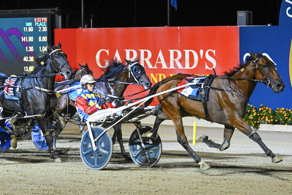 Club Menangle tweet media