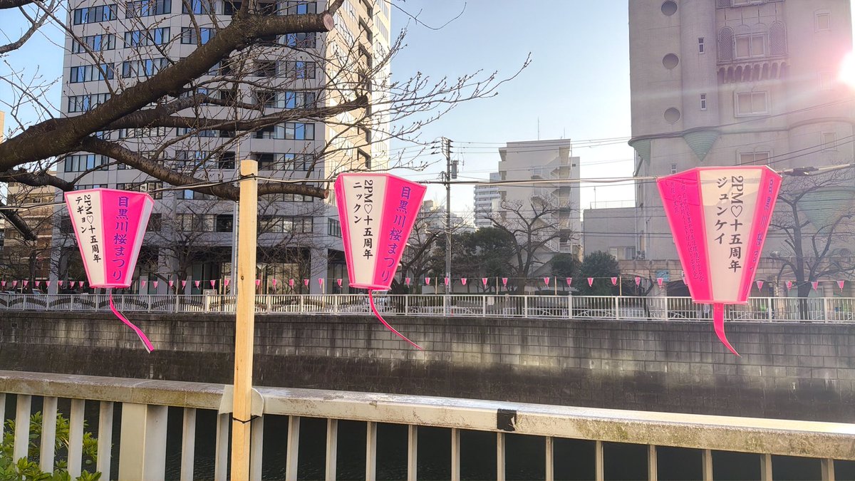 のっぷに子 tweet media