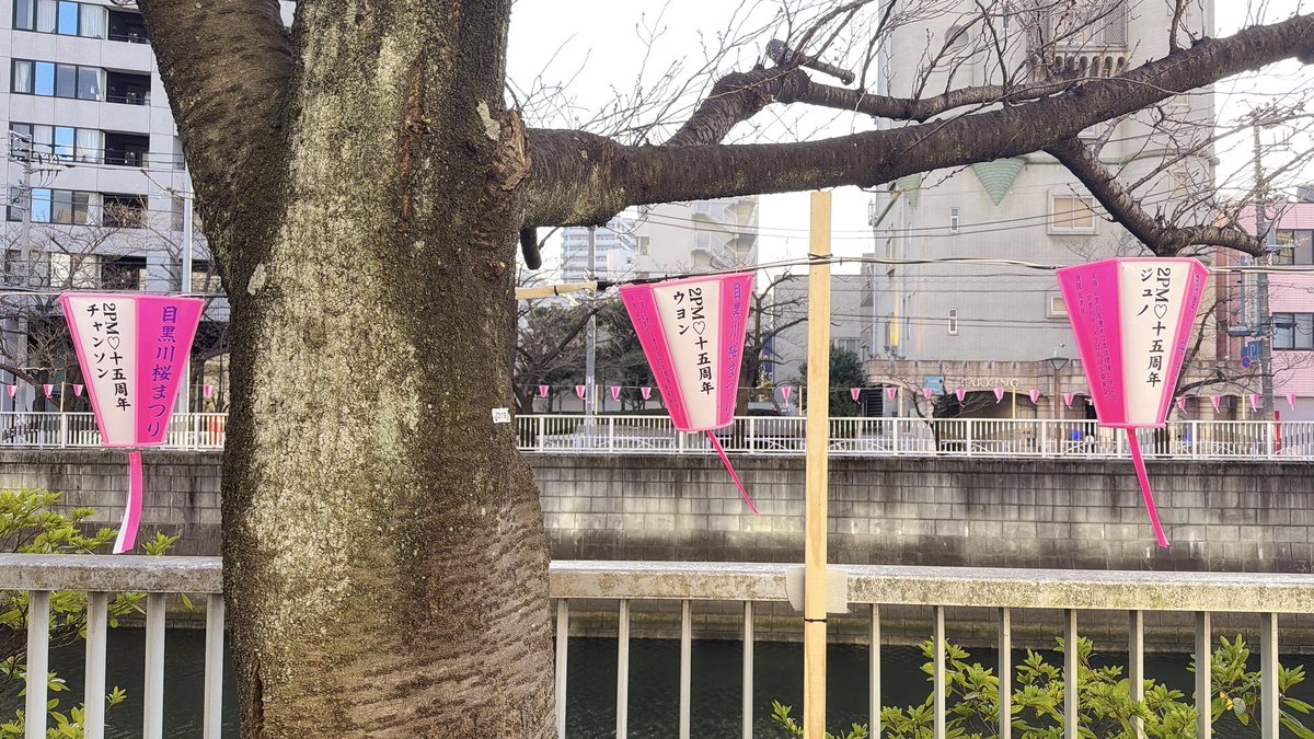 のっぷに子 tweet media