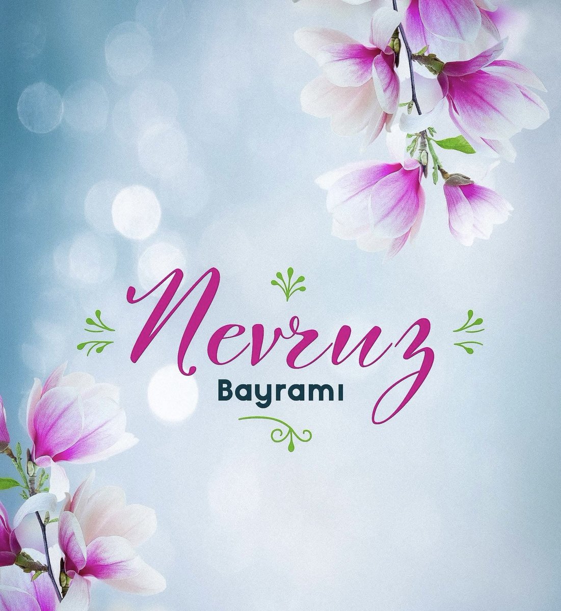 harikases's tweet photo. Nevruz; toprağın uyanışını, gökyüzünün aydınlanışını müjdeler. Kökleri tarihin derinliklerine uzanan bu kadim bayram, ortak hafızamızın ve birliğimizin en güzel yansımasıdır.

Nevruz Bayramı’nın milletimize ve tüm insanlığa huzur, sağlık ve bereket getirmesini diliyorum. https://t.co/ffEoCddx34