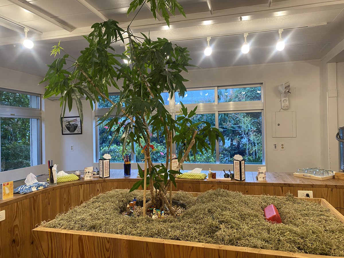 株式会社ことりカフェ【公式】鳥フェス広島4/4-5 tweet media