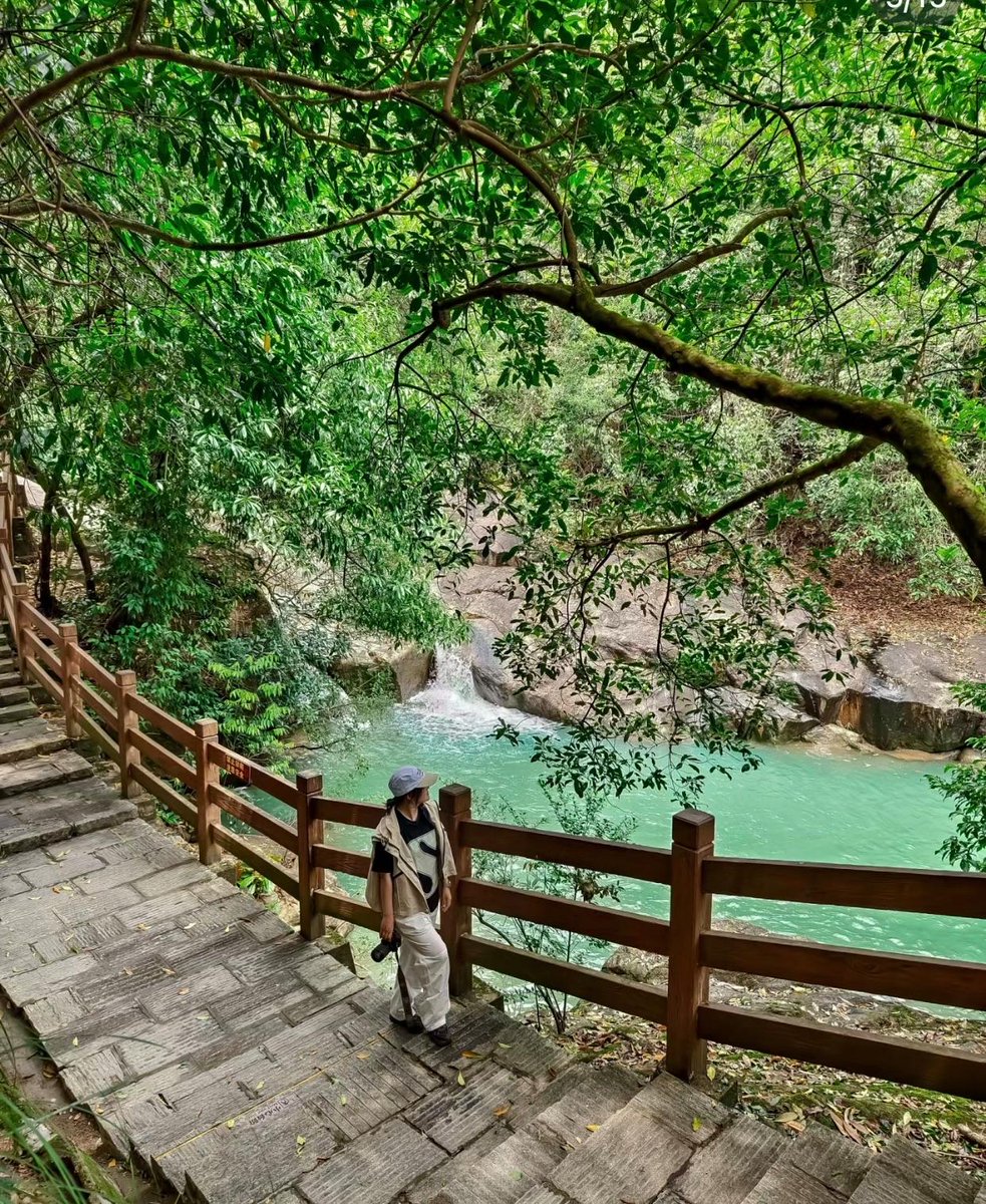 @ivanafarias tweet media