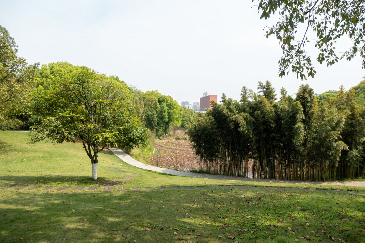 renhongji1990's tweet image. 今天的校园，太阳下午2点后才有～
#CQU