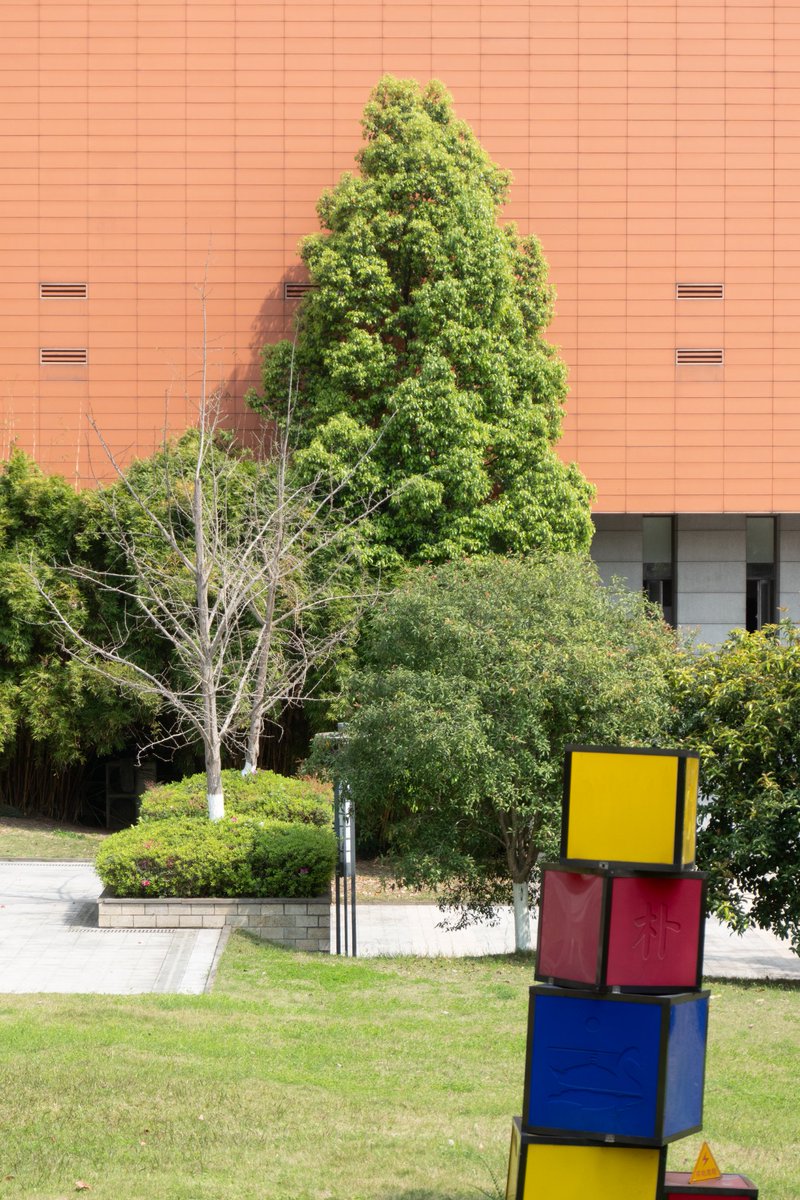 renhongji1990's tweet image. 今天的校园，太阳下午2点后才有～
#CQU