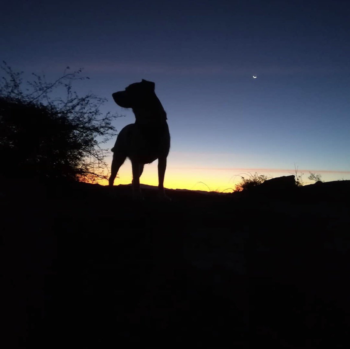 Miguel Angel Garrosa tweet media