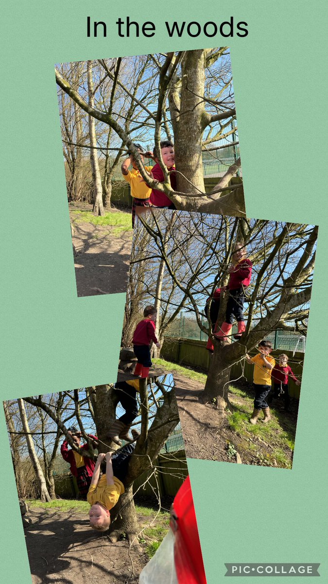 TAWilliams33's tweet photo. We had lots of fun outdoors this week @StJamesRecep @StJamesChorley https://t.co/MKqg1SiJar
