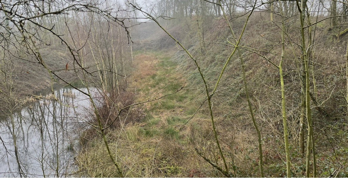 Tim Thurlow tweet media