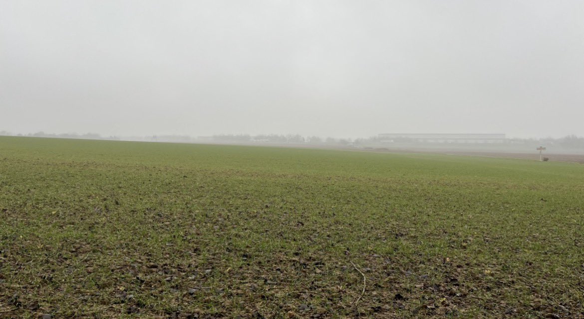 Tim Thurlow tweet media