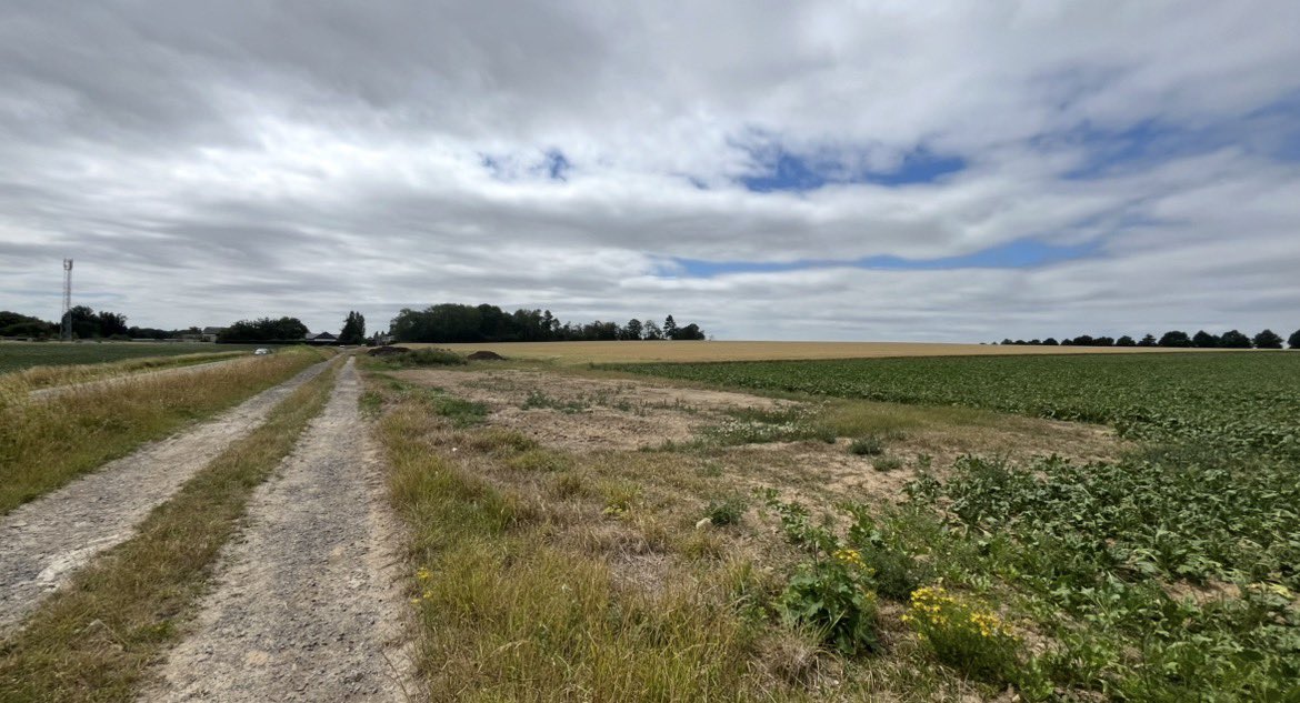 Tim Thurlow tweet media