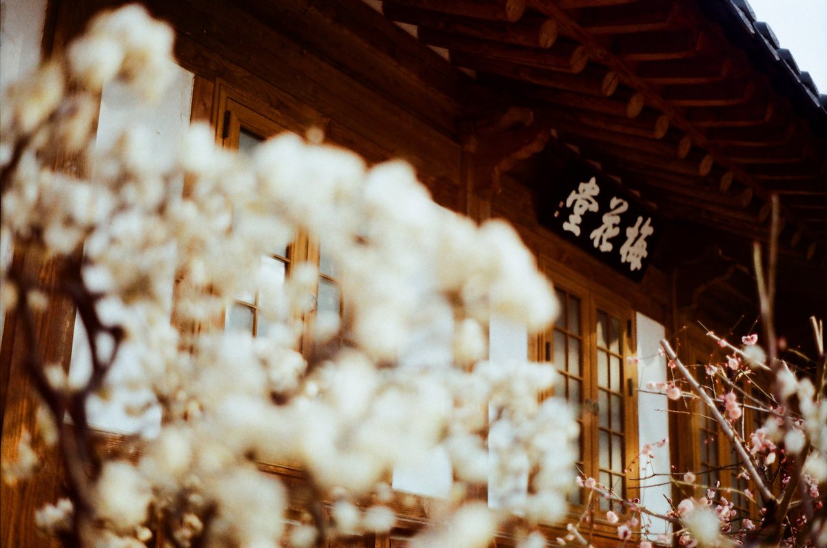 함바그 tweet media