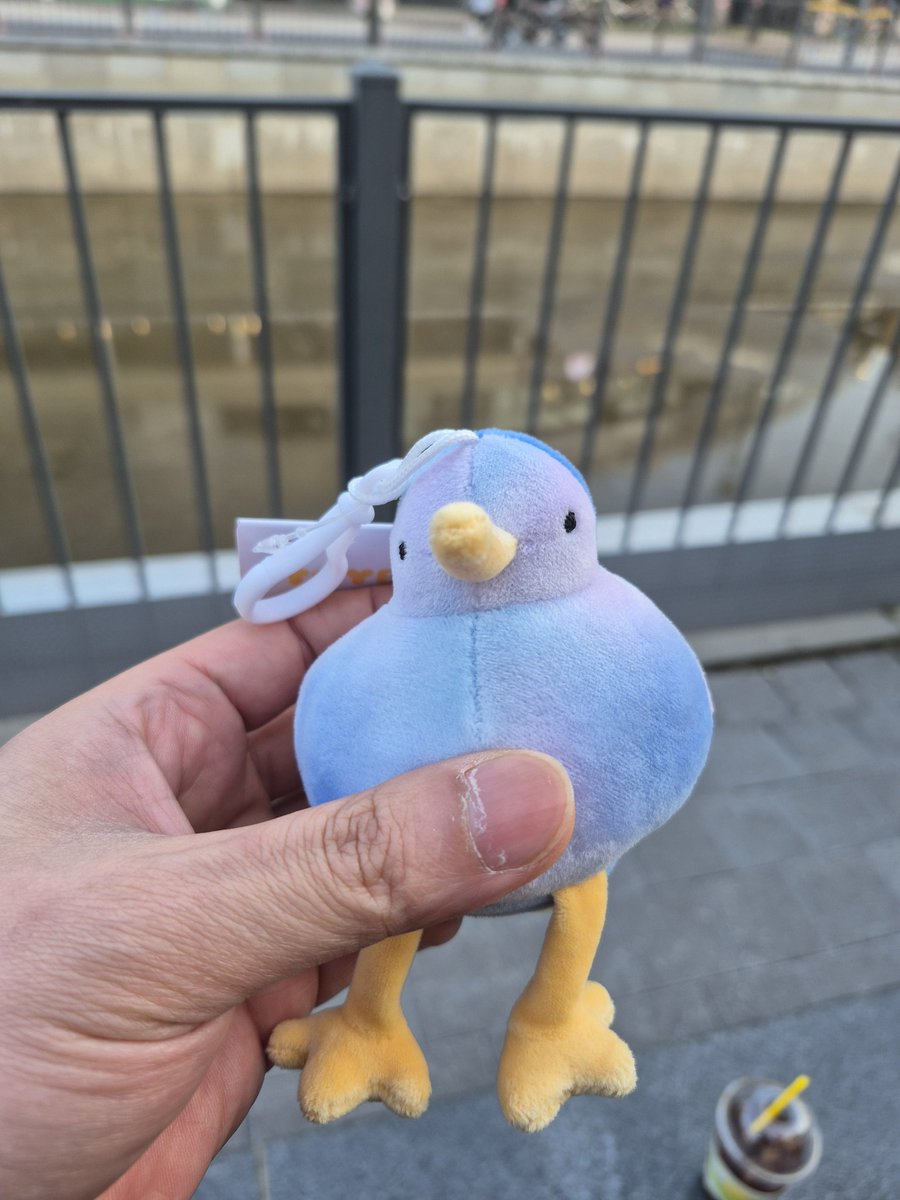 허벌텀 tweet media