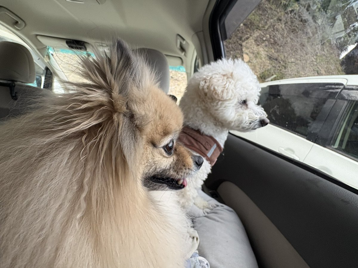 こばママ tweet media