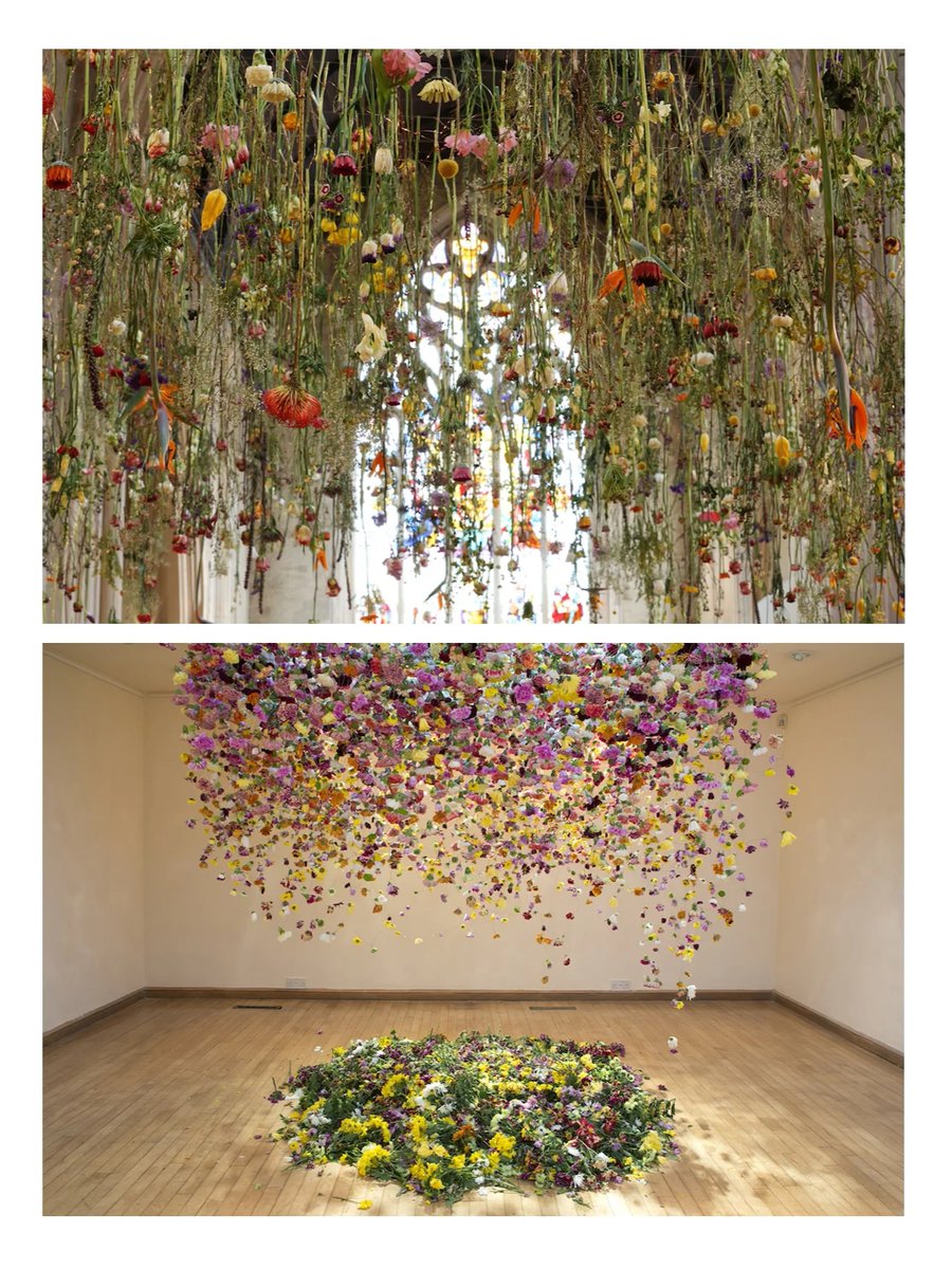 Novia988 tweet media