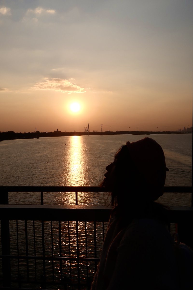 Angie Mongelli tweet media