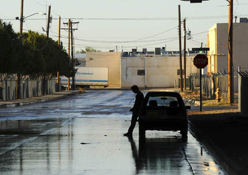 Stephen Gibbons tweet media