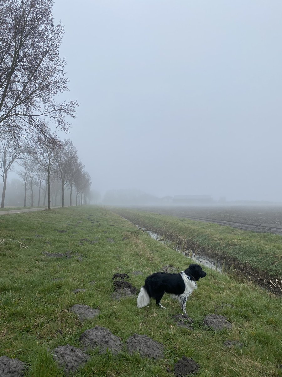 Jessy Wal tweet media