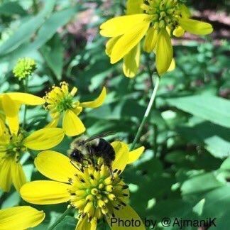 vegy🥕power🥕🐇 tweet media