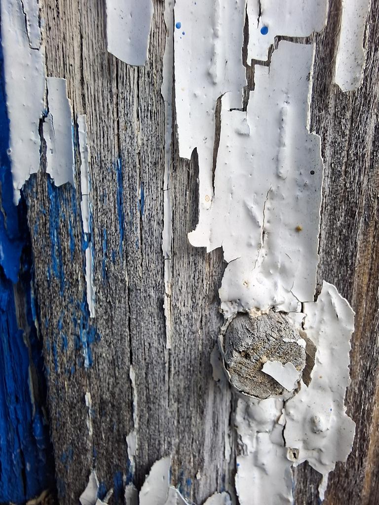 тупой лев tweet media