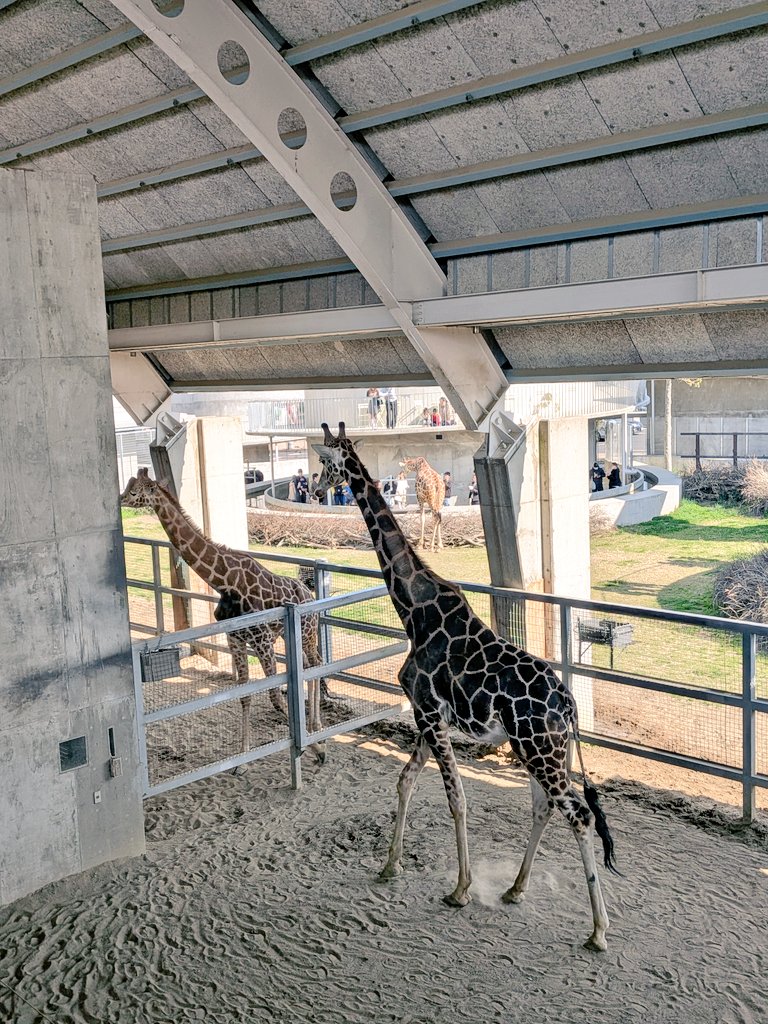 STRIKE A CHORD tweet media