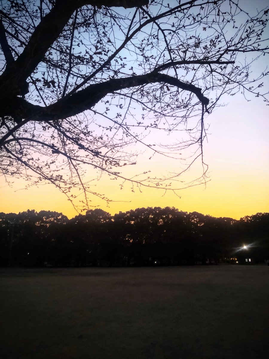 ゲーム屋秀 tweet media