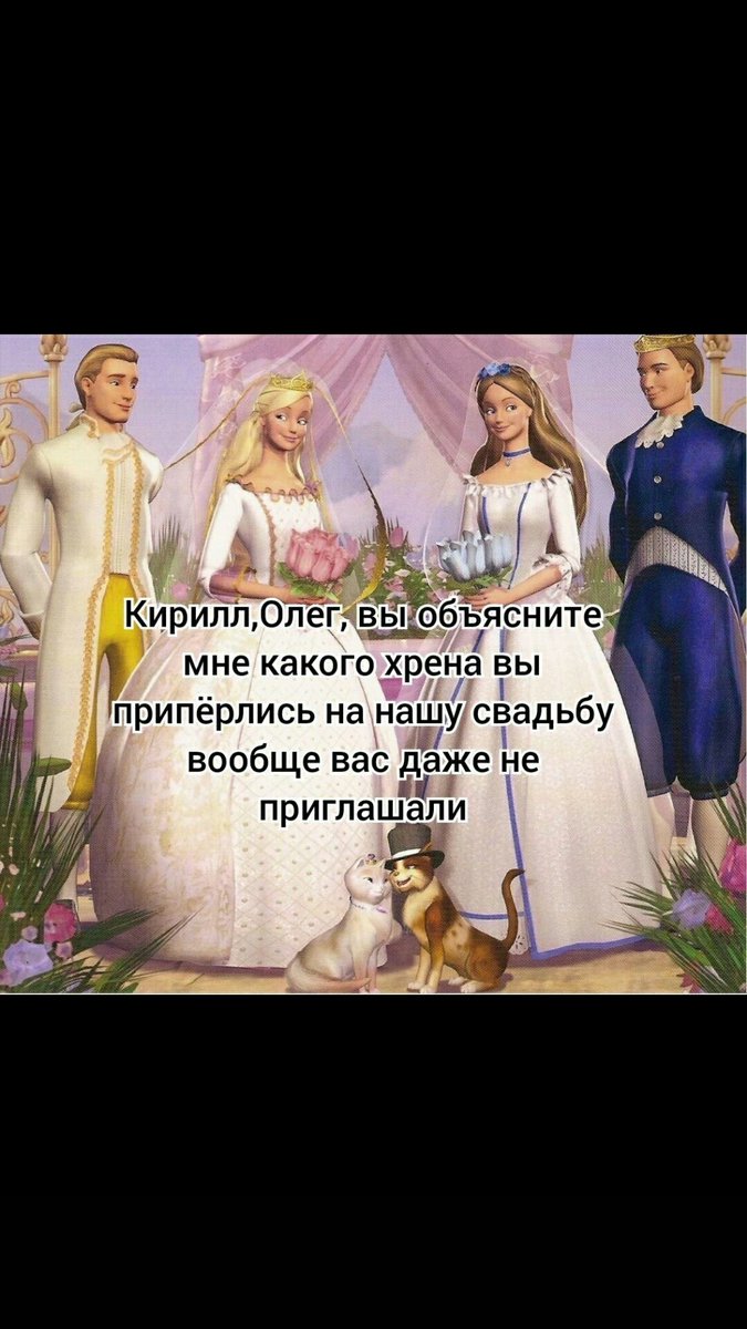 qiett🐻 forza Ollie tweet media