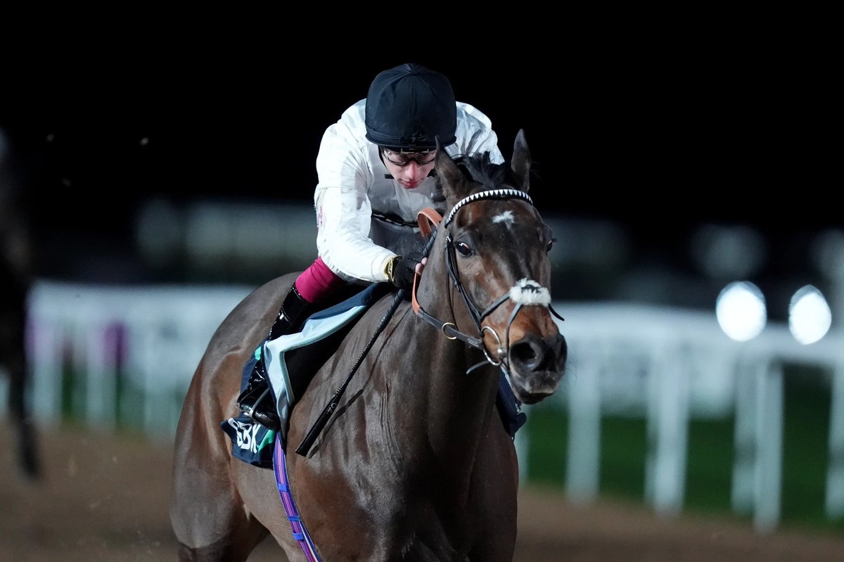 Racing Tips tweet media