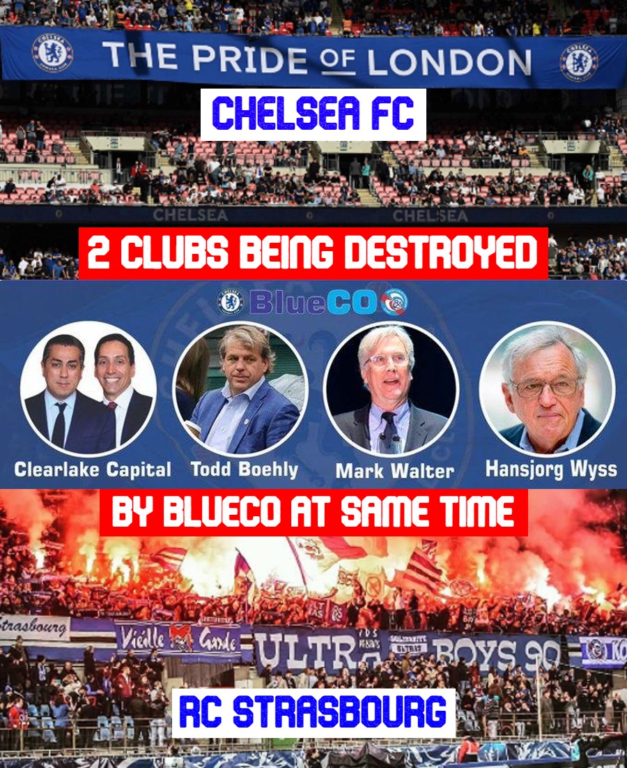 Steve G ⭐️⭐️🇬🇧 tweet media