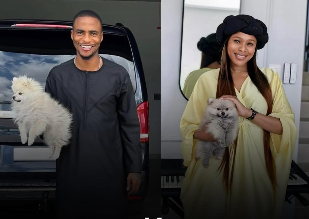 The Instigator tweet media