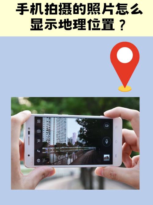 Randy Pigg tweet media