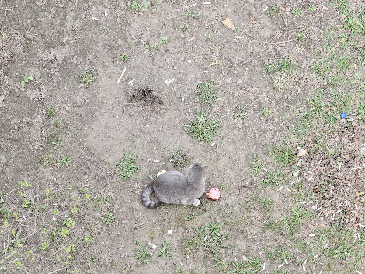 Бармалей 🏴☠️ tweet media