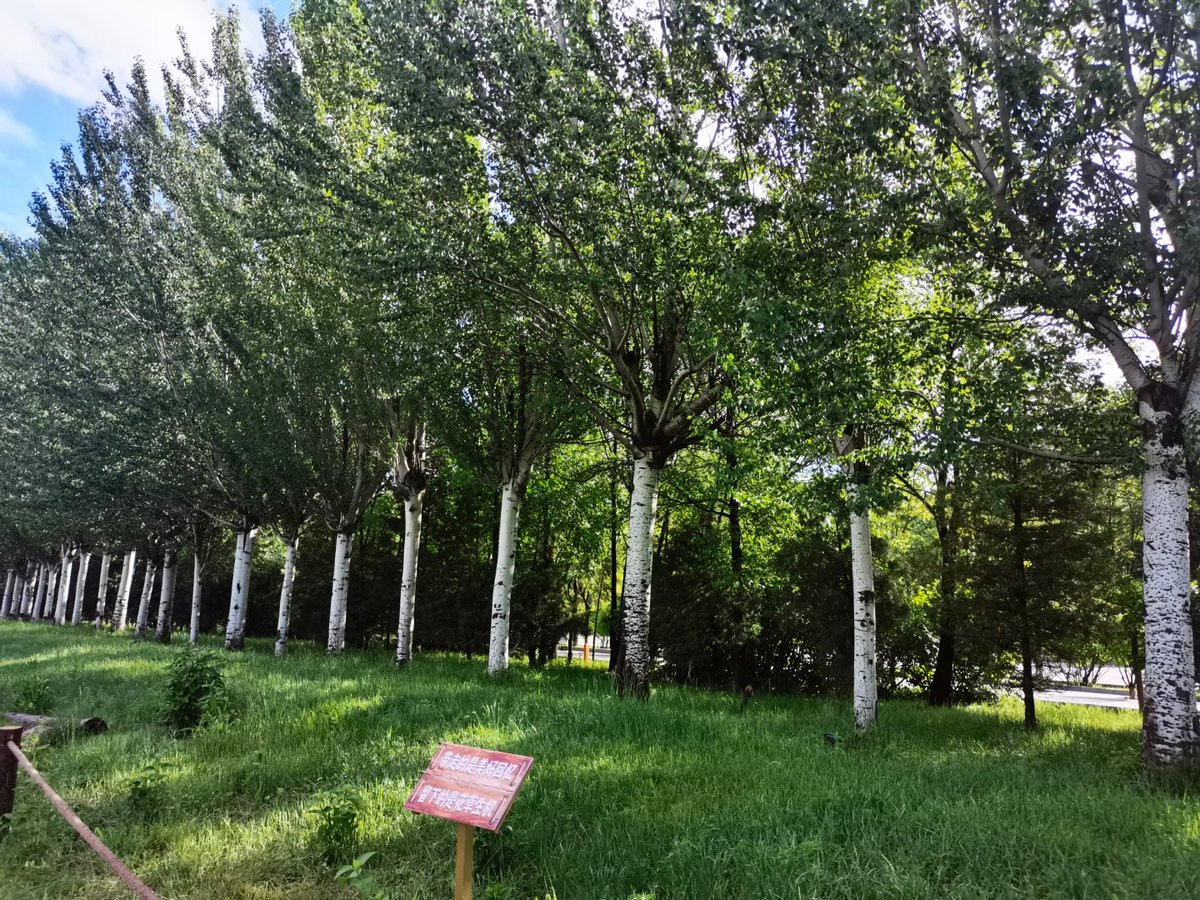 Marcela Ramos tweet media