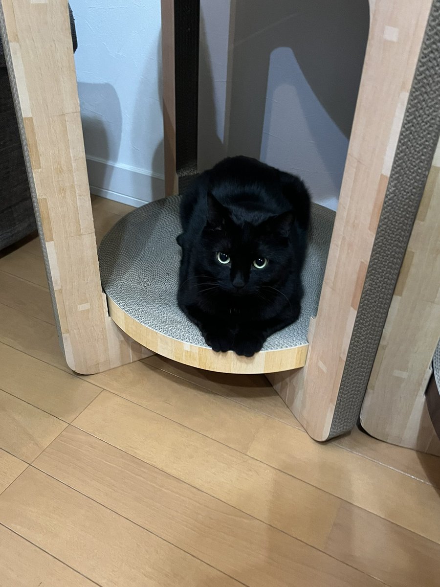 おれはずっとだっこをまっている、の図