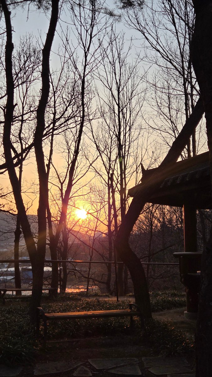 에디🦊 tweet media